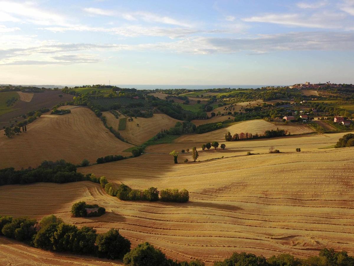 La Meriggia Agriturismo- Ampio Appartamento Con Terrazza Esclusiva Ancona Eksteriør bilde