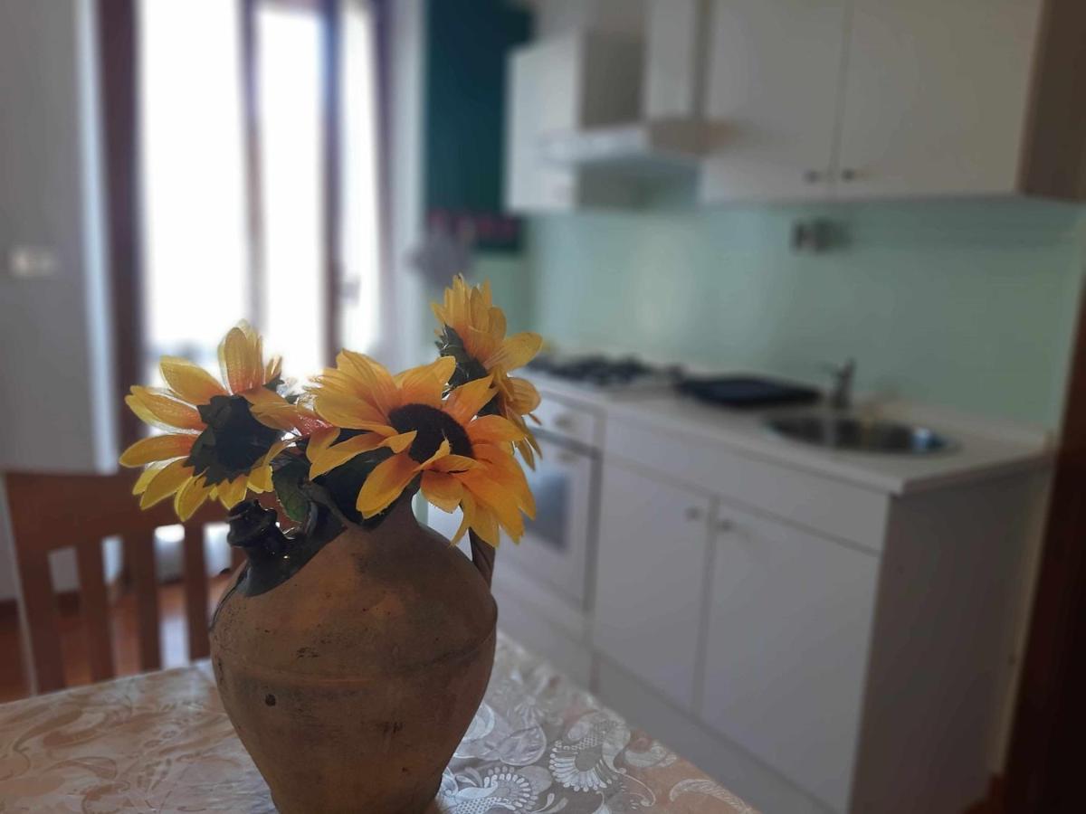 La Meriggia Agriturismo- Ampio Appartamento Con Terrazza Esclusiva Ancona Eksteriør bilde
