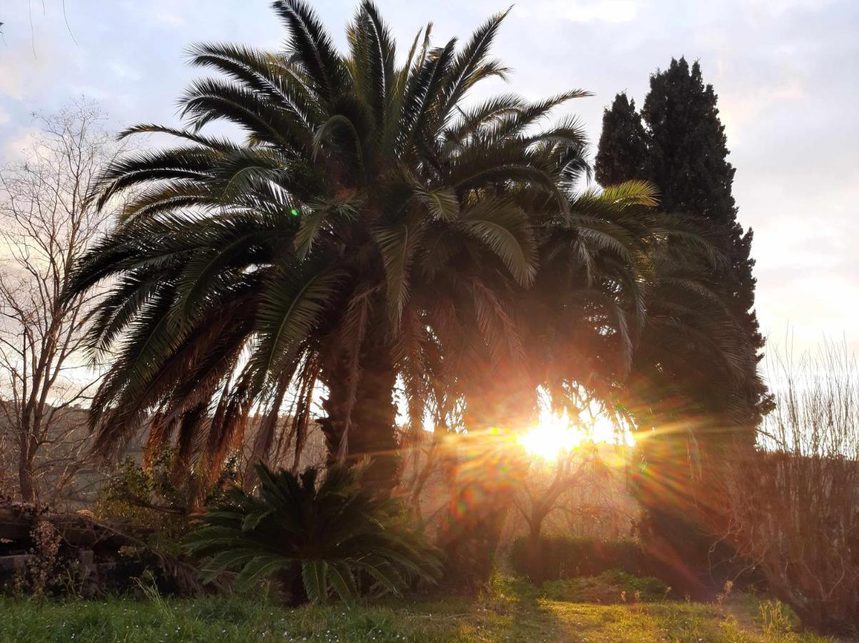 La Meriggia Agriturismo- Ampio Appartamento Con Terrazza Esclusiva Ancona Eksteriør bilde