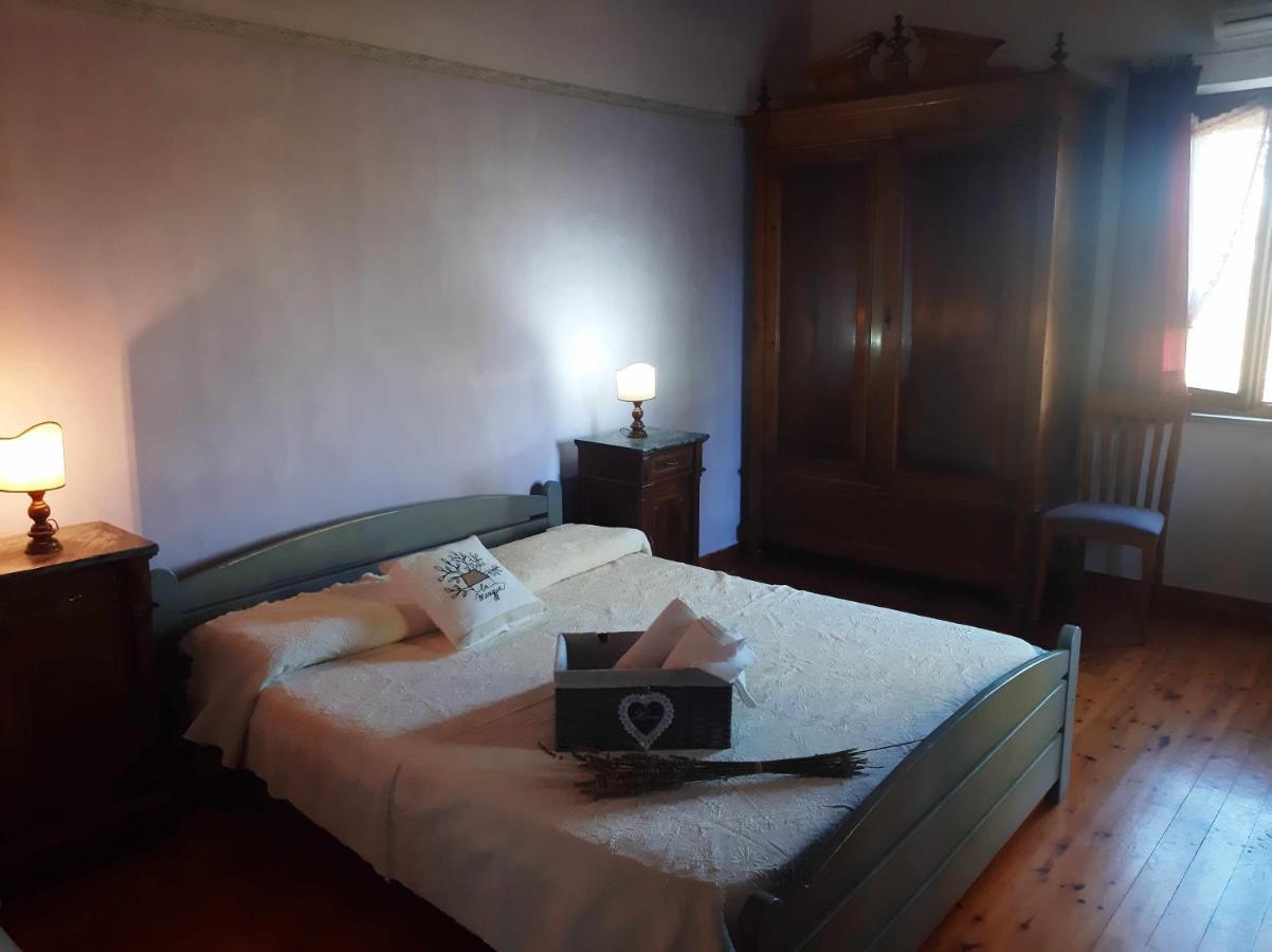 La Meriggia Agriturismo- Ampio Appartamento Con Terrazza Esclusiva Ancona Eksteriør bilde