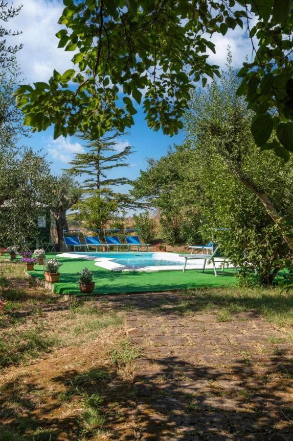 La Meriggia Agriturismo- Ampio Appartamento Con Terrazza Esclusiva Ancona Eksteriør bilde