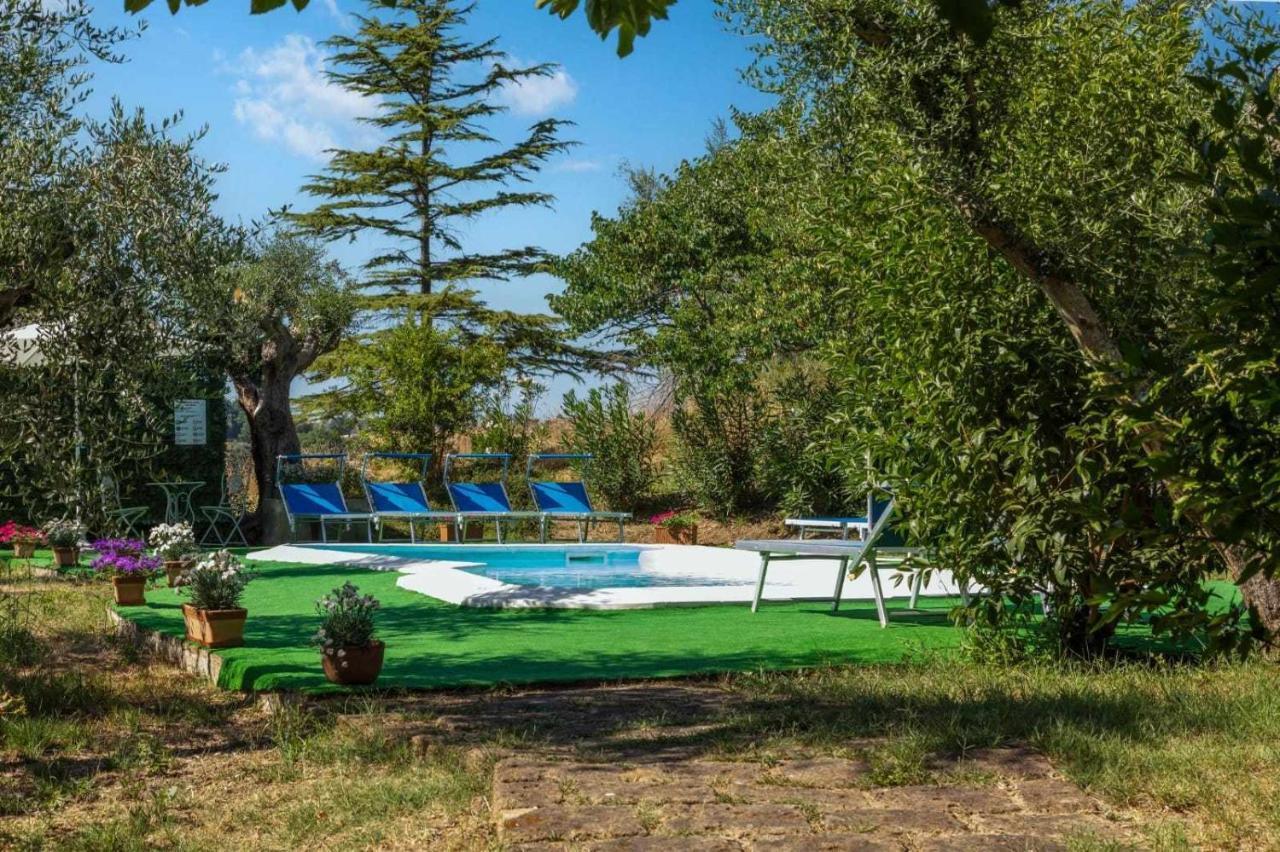 La Meriggia Agriturismo- Ampio Appartamento Con Terrazza Esclusiva Ancona Eksteriør bilde