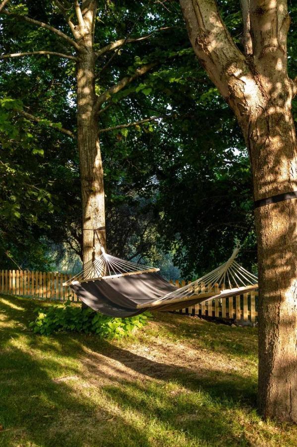 La Meriggia Agriturismo- Ampio Appartamento Con Terrazza Esclusiva Ancona Eksteriør bilde